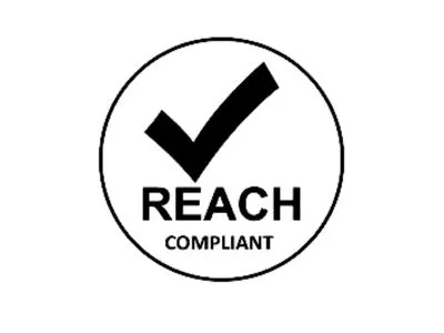 REACH pickleball paddle